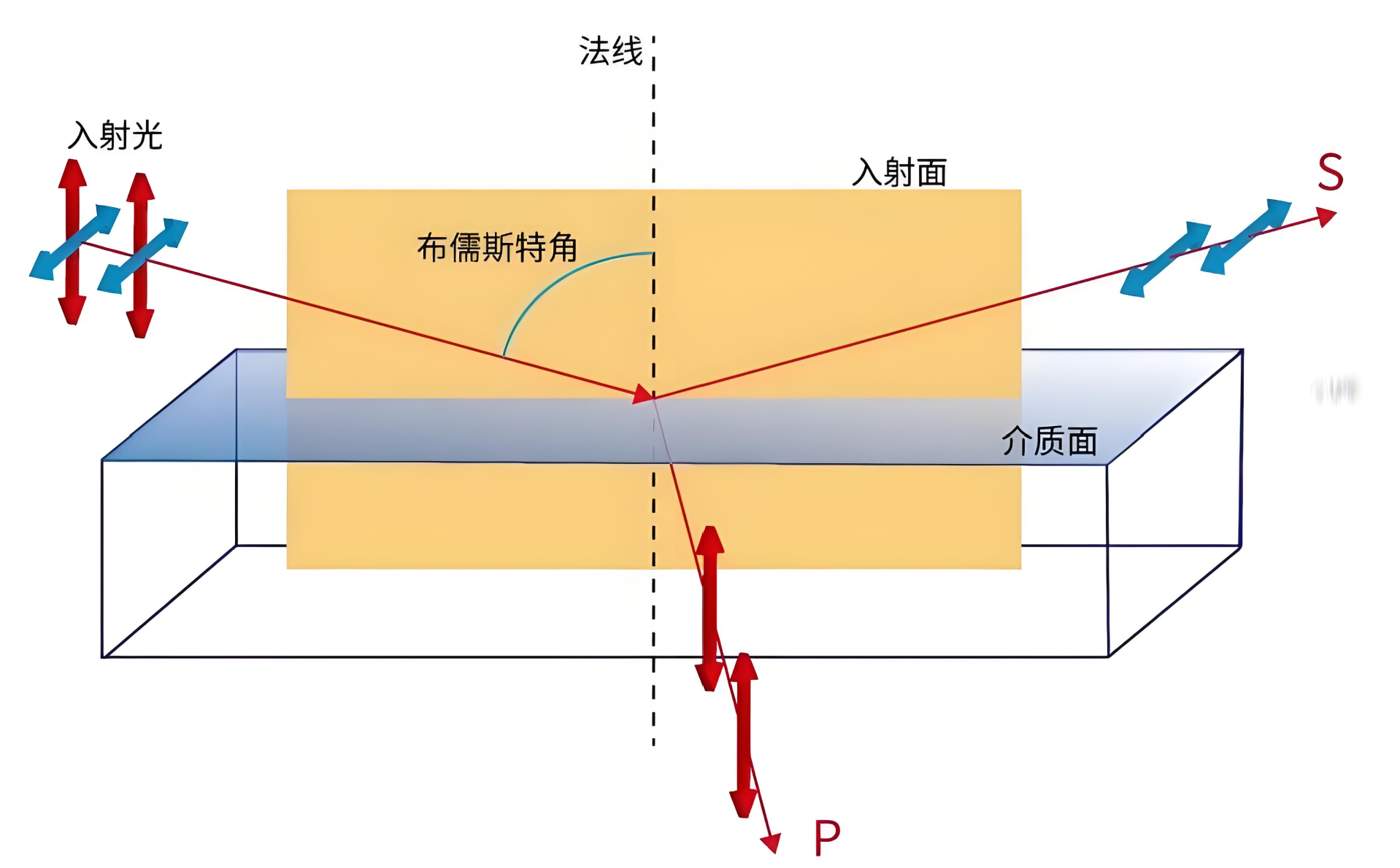 P光與S光